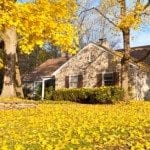 Asking prices stay strong into autumn